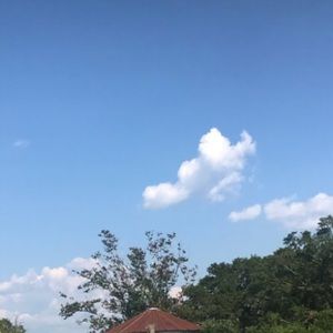 Meet your Posher, Deidre